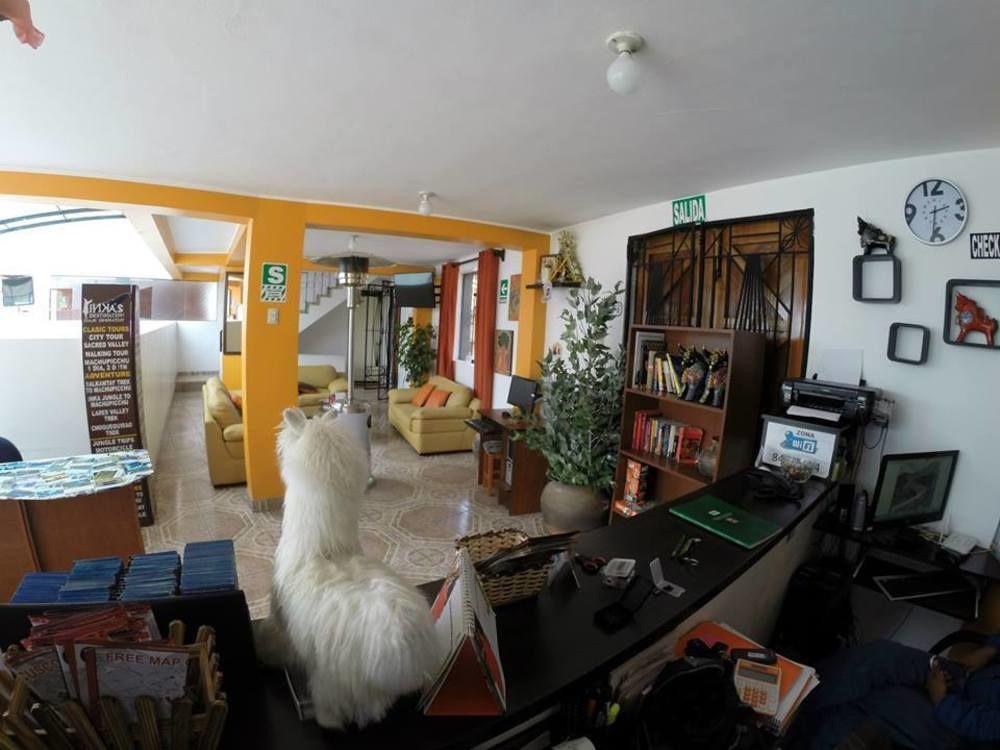 Cuscopackers Hostels Buitenkant foto